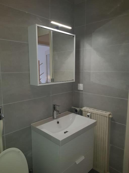 Studio De La Petite France Apartment Strasbourg Exterior photo