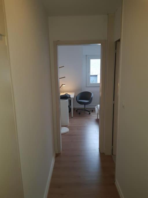 Studio De La Petite France Apartment Strasbourg Exterior photo